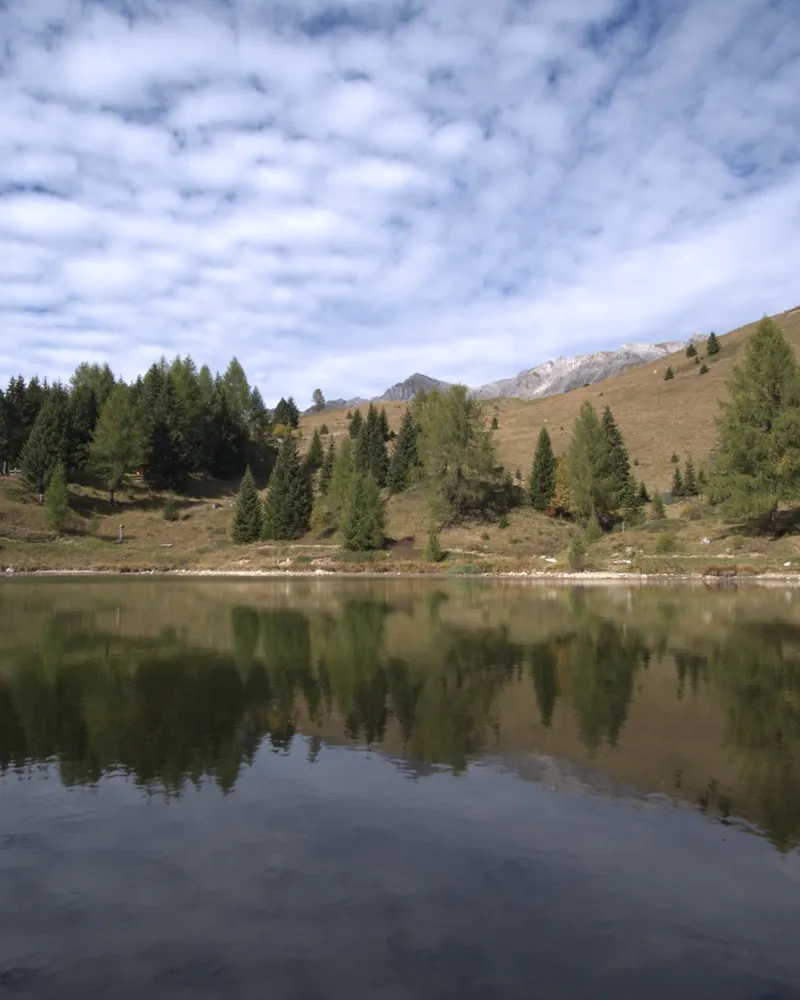 Lago di montagna immobile che riflette il bosco sotto un cielo a pecorelle